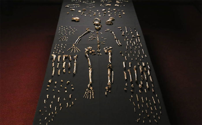 Picture 7 of Top 10 archaeological discoveries in the world 2015