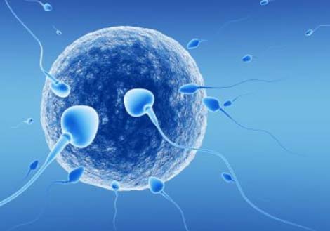 Picture 8 of Top 10 medical breakthroughs in 2010
