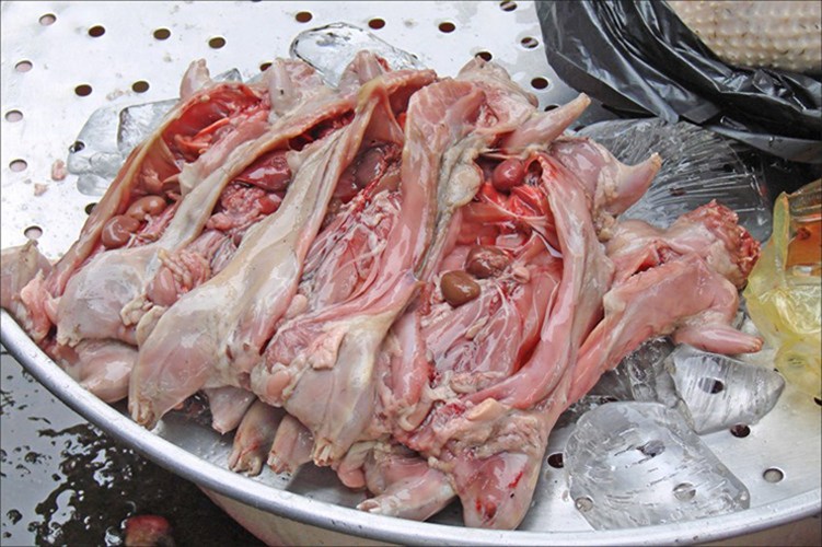 Picture 10 of Top 10 most difficult to swallow dishes in the world, do you dare to try?