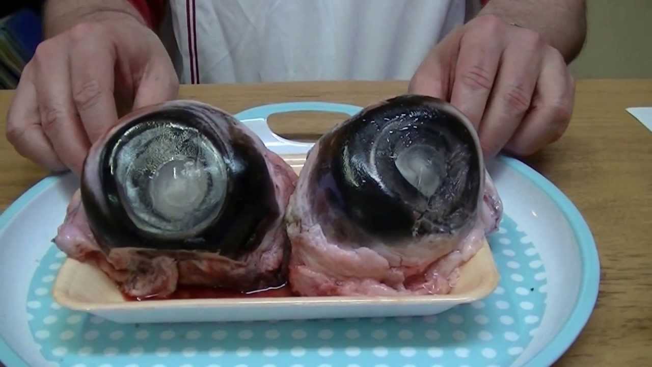 Picture 3 of Top 10 most difficult to swallow dishes in the world, do you dare to try?
