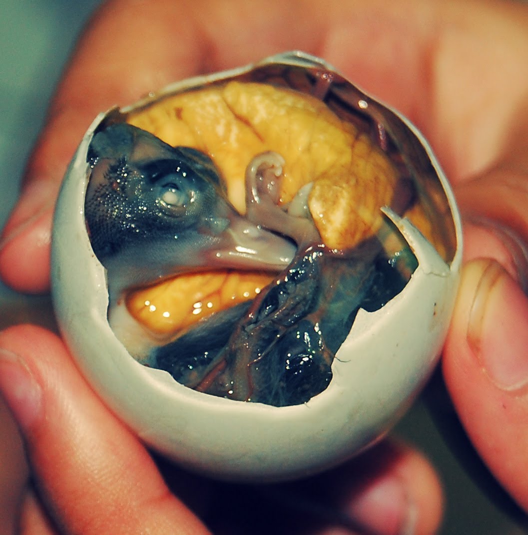Picture 4 of Top 10 most difficult to swallow dishes in the world, do you dare to try?