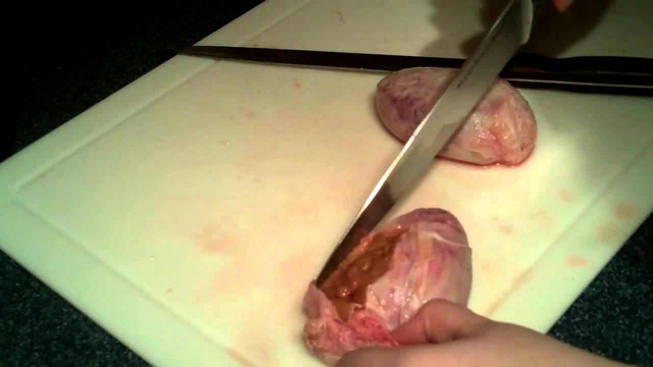 Picture 6 of Top 10 most difficult to swallow dishes in the world, do you dare to try?
