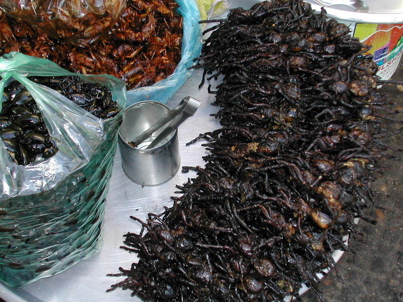 Picture 9 of Top 10 most difficult to swallow dishes in the world, do you dare to try?