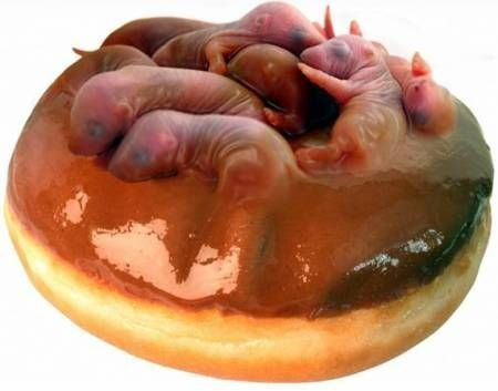 Picture 1 of Top 10 most horrifying dishes on the planet