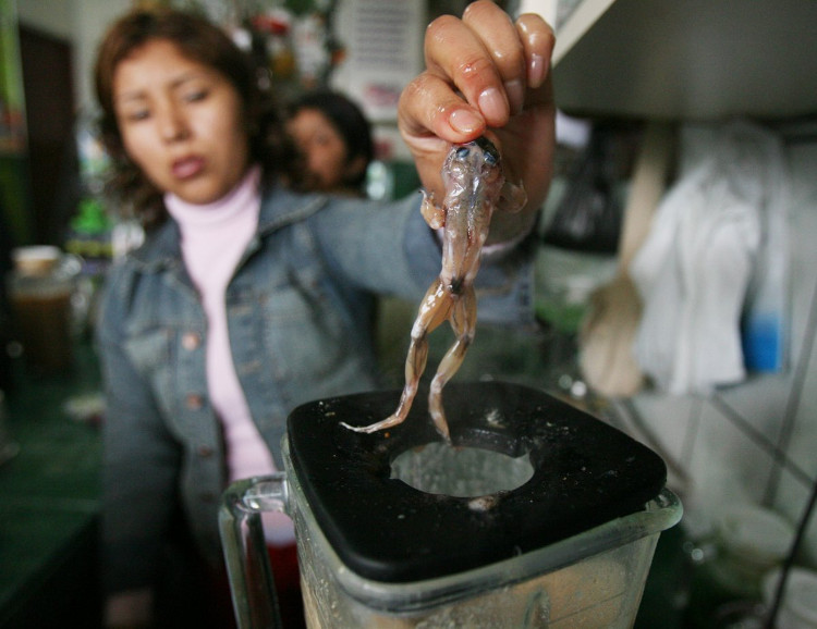 Picture 2 of Top 10 most horrifying dishes on the planet