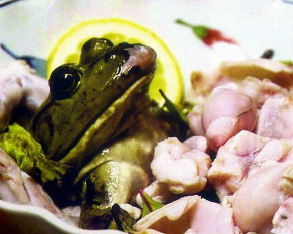 Picture 8 of Top 10 most horrifying dishes on the planet