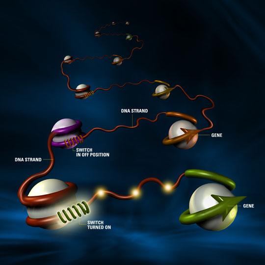 Picture 9 of Top 10 most important scientific findings of the decade