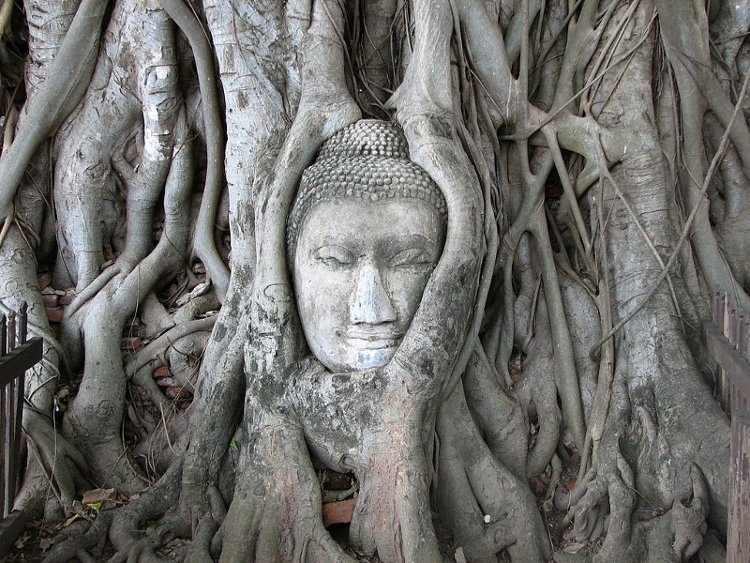 Picture 7 of Top 10 world famous Buddha statues