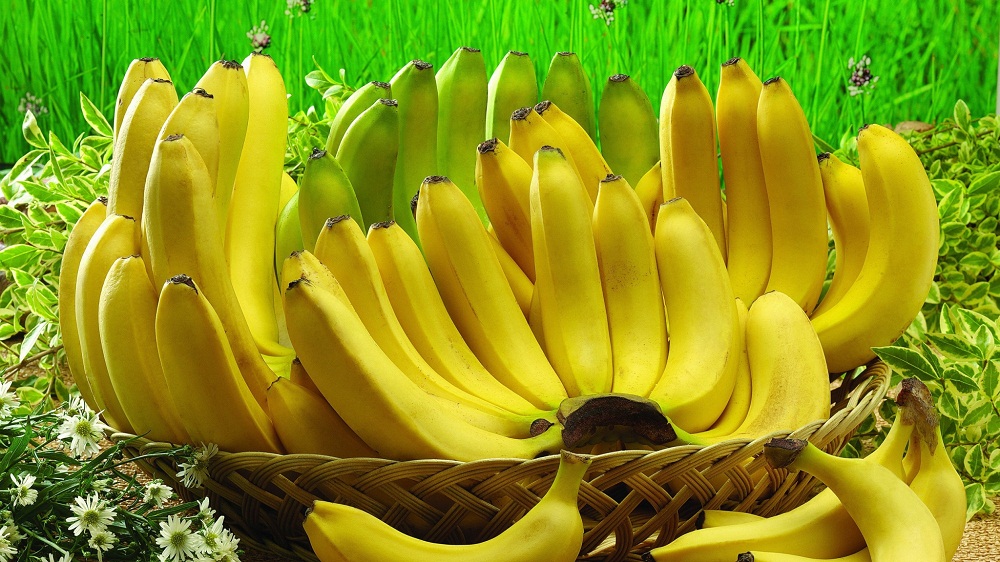 Picture 9 of Top 9 foods to help you regain super fast energy!