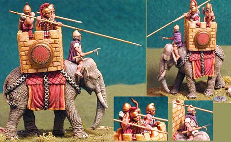 Picture 2 of Top animal warriors (II)