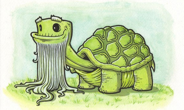 Picture 5 of Top animals 'longevity' that you didn't expect