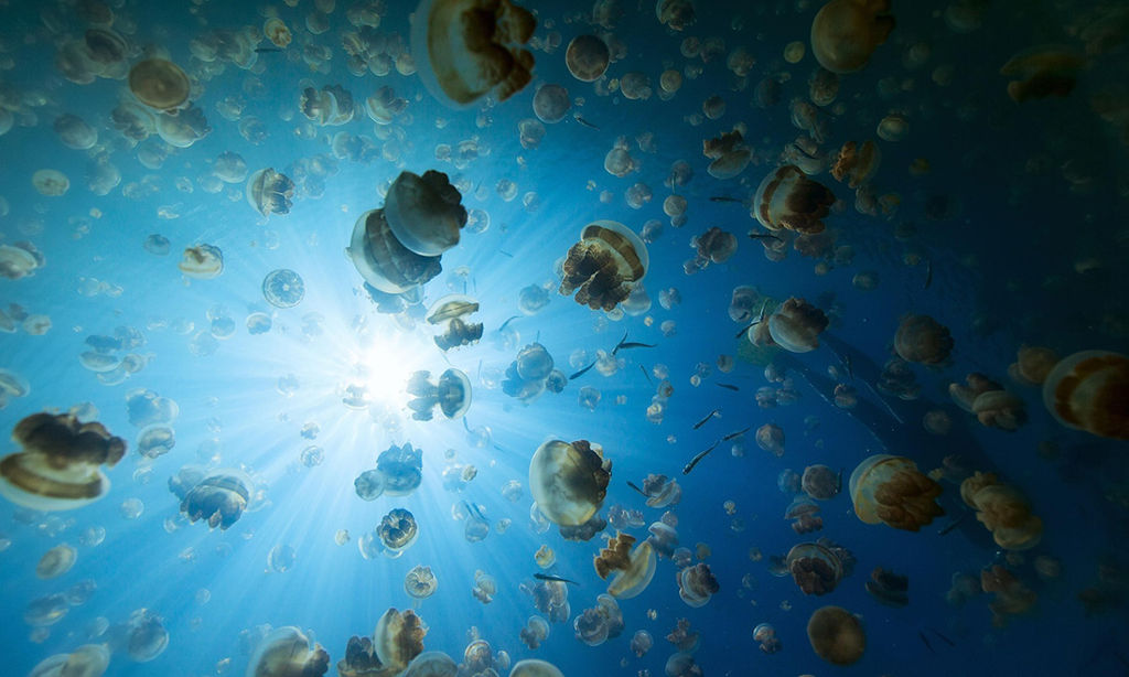 Picture 8 of Top natural wonders you may never know