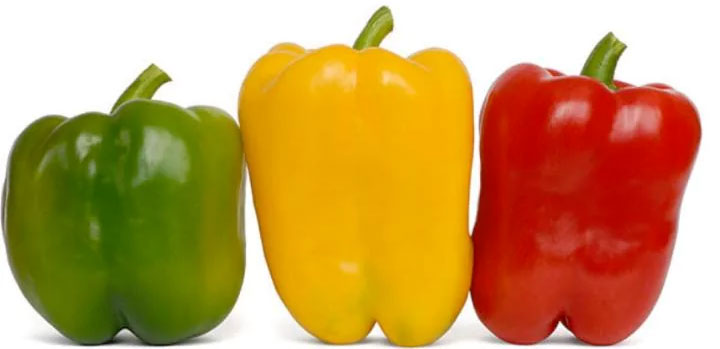 Picture 1 of Top of the most spicy peppers in the world