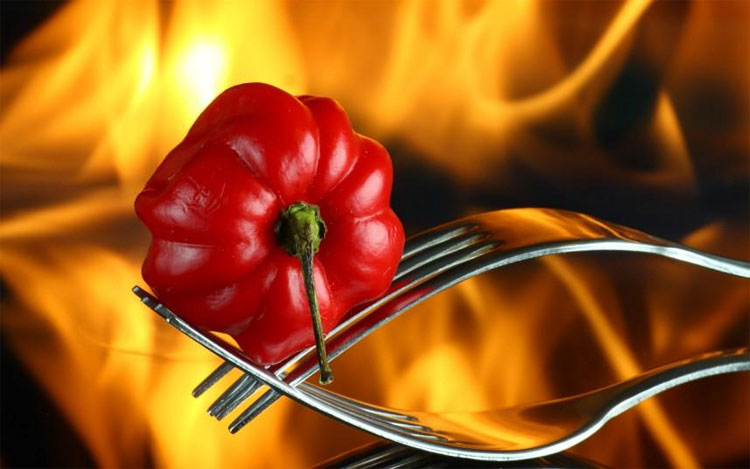 Picture 8 of Top of the most spicy peppers in the world