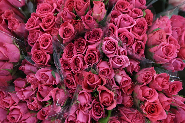 Picture 6 of Top truths now know about Valentine's Day
