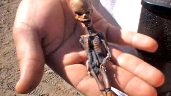 Picture 2 of Touch the aliens