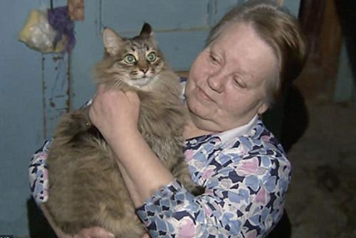 Picture 3 of Touching the scene of cat rescuing abandoned children in the snow