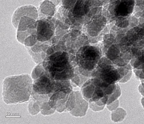 Picture 3 of Toxicity in two types of universal nanomaterials