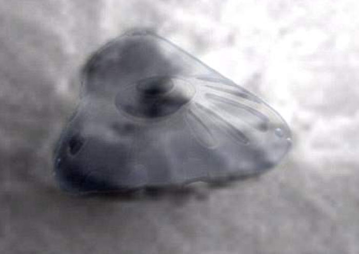 Picture 2 of Trace aliens who have ever visited Mars?