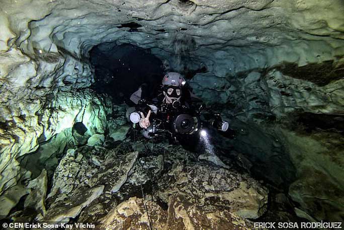 Picture 4 of Traces of 2.5 million-year-old 'beast' sharks appear ... in the middle of the city