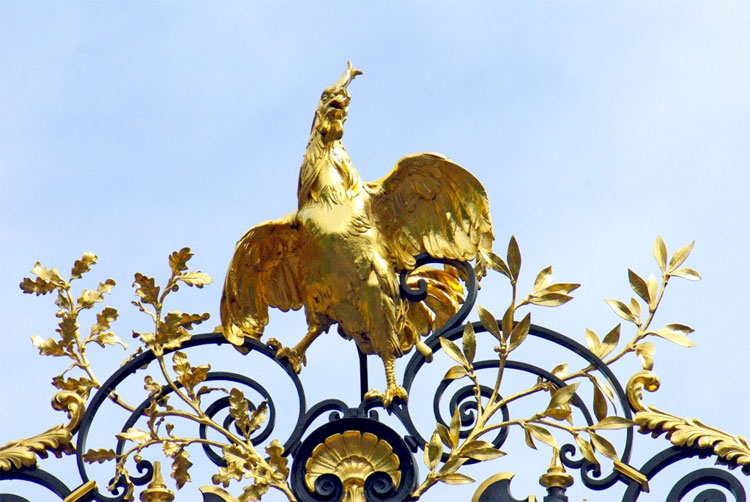 Picture 3 of Tracing the origins of the Speaker of the Rooster, the symbol of France
