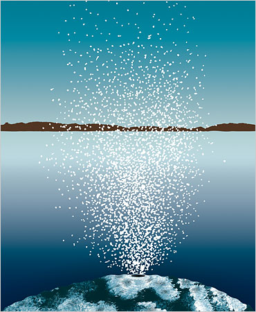 Picture 2 of Tracking whales - Mysterious whale whale cropping event (Part I)
