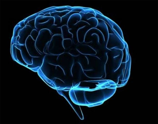 Picture 1 of Transform normal skin cells into brain cells