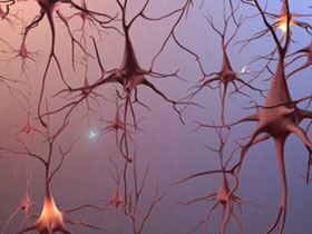 Picture 1 of Transform skin cells into neurons