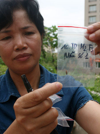 Picture 11 of Transplanting grain 3,000 years
