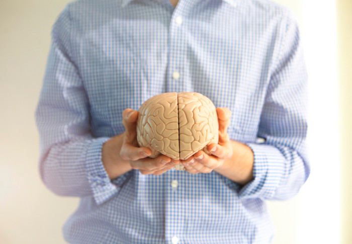 Picture 1 of Transplanting the human brain to