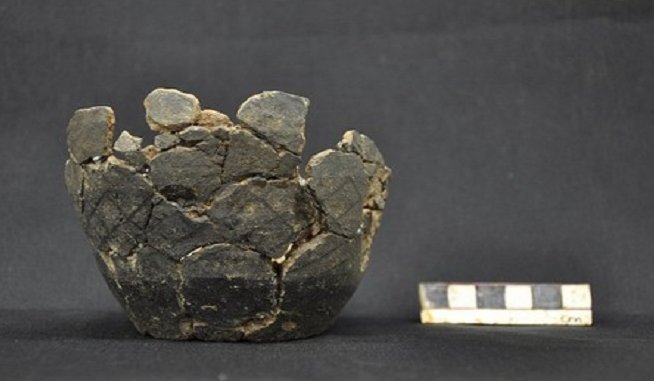 Picture 7 of Treasure coins worth tens of millions of dollars in Wales