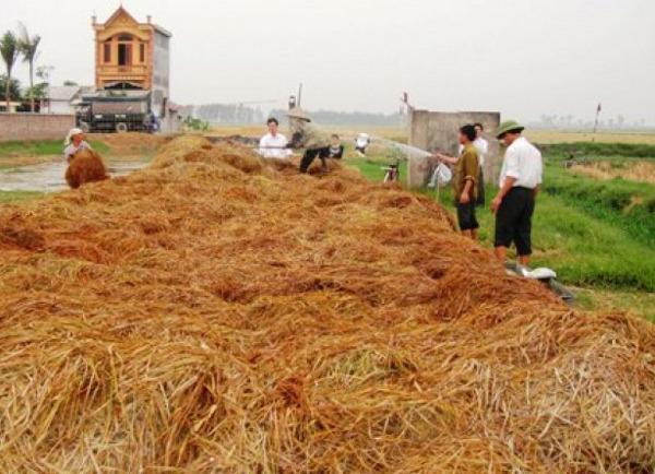 Picture 1 of Treating rural pollution with biological products