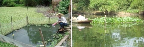 Picture 1 of Treatment of polluted water with microorganisms