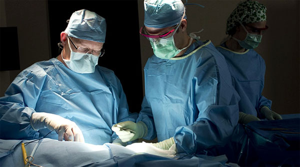 Picture 1 of Treatment technique for patients with heart failure, mitral valve defects