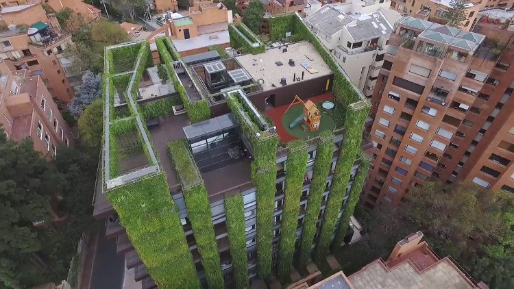 Picture 5 of Tree wall - a modern urban green solution