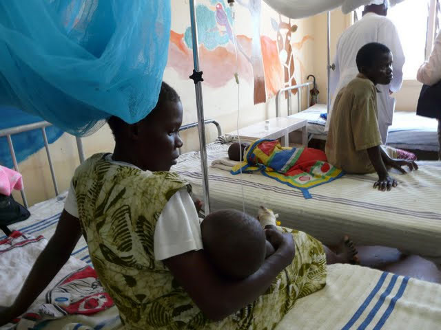 Picture 1 of Trial of malaria vaccine failed