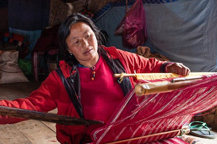 Picture 10 of Tribes live on cows