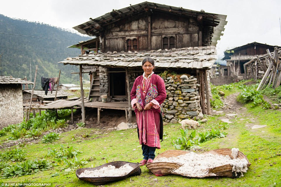 Picture 2 of Tribes live on cows