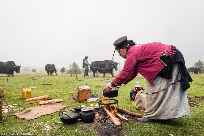 Picture 9 of Tribes live on cows