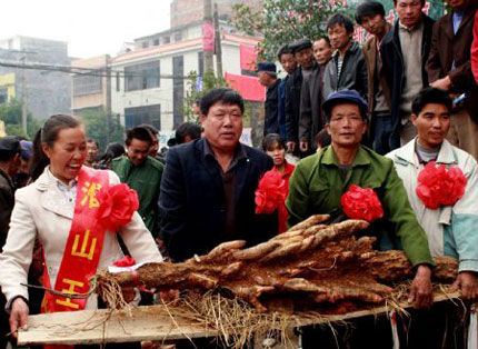 Picture 1 of Tubers weigh 38kg