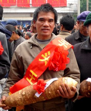 Picture 3 of Tubers weigh 38kg