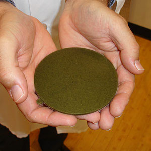 Picture 1 of Turn algae into plastic