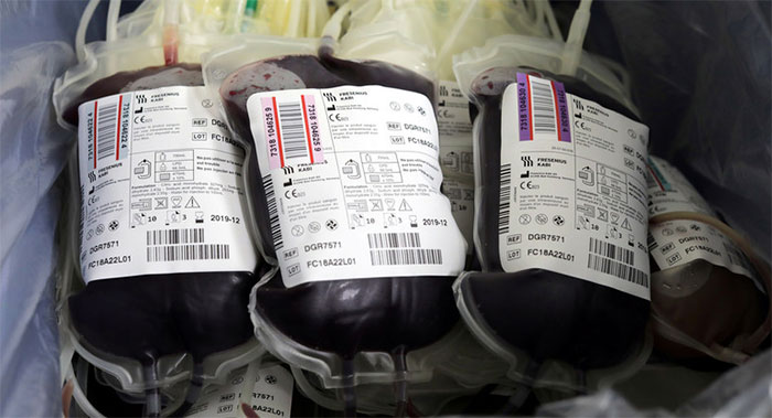 Picture 1 of Turn any blood group into O thanks to ... bacteria