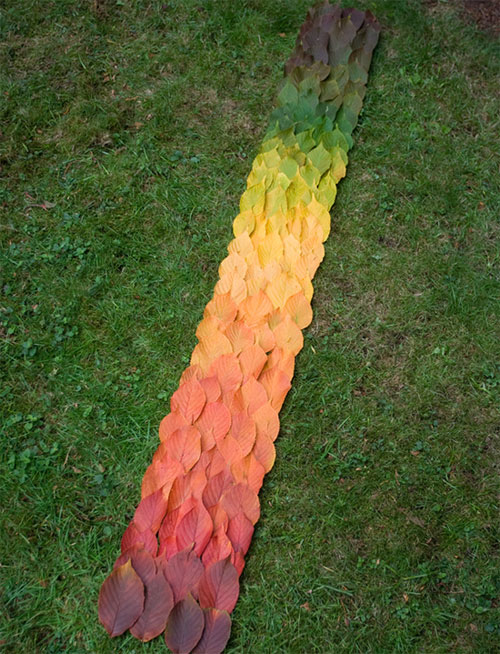 Picture 12 of Turn leaves into creativity 'no one expected
