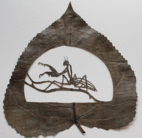 Picture 13 of Turn leaves into creativity 'no one expected