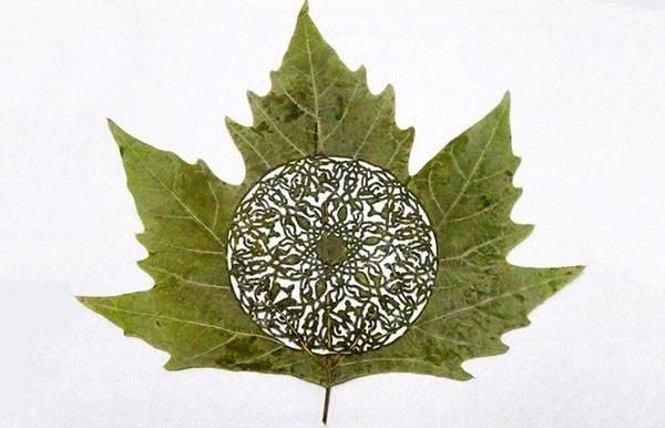 Picture 14 of Turn leaves into creativity 'no one expected