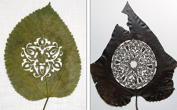 Picture 17 of Turn leaves into creativity 'no one expected