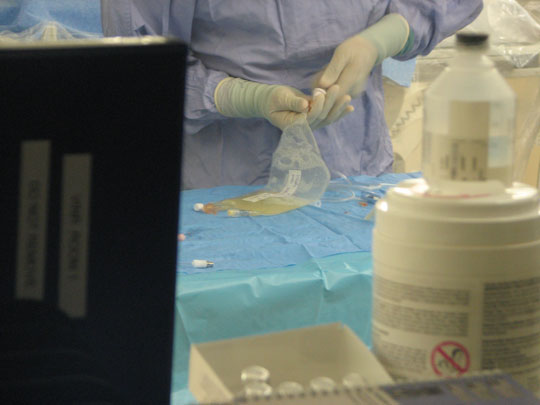 Picture 1 of Turn stem cells into cells of the intestine, pancreas