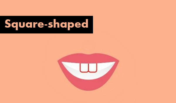 Picture 1 of Two incisors reveal little mystery about you