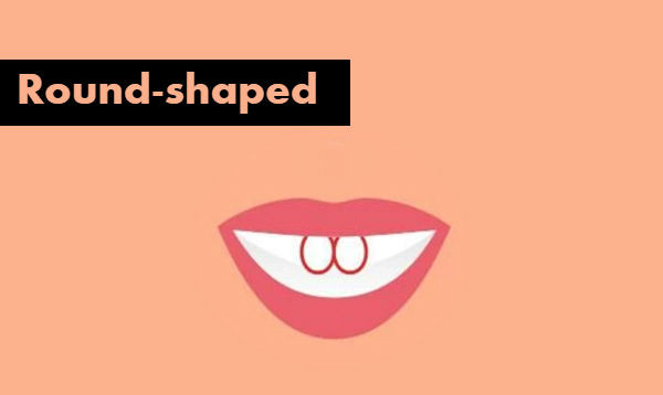 Picture 2 of Two incisors reveal little mystery about you